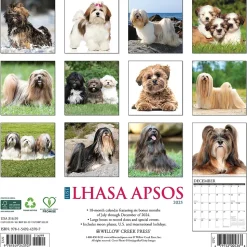 2025 Willow Creek Just Lhasa Apsos 12" x 12" Monthly Wall Calendar (43707)