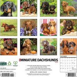 2025 Willow Creek Just Miniature Dachshunds 12" x 12" Monthly Wall Calendar (43912)