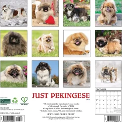 2025 Willow Creek Just Pekingese 12" x 12" Monthly Wall Calendar (44407)