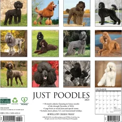 2025 Willow Creek Just Poodles 12" x 12" Monthly Wall Calendar (44520)
