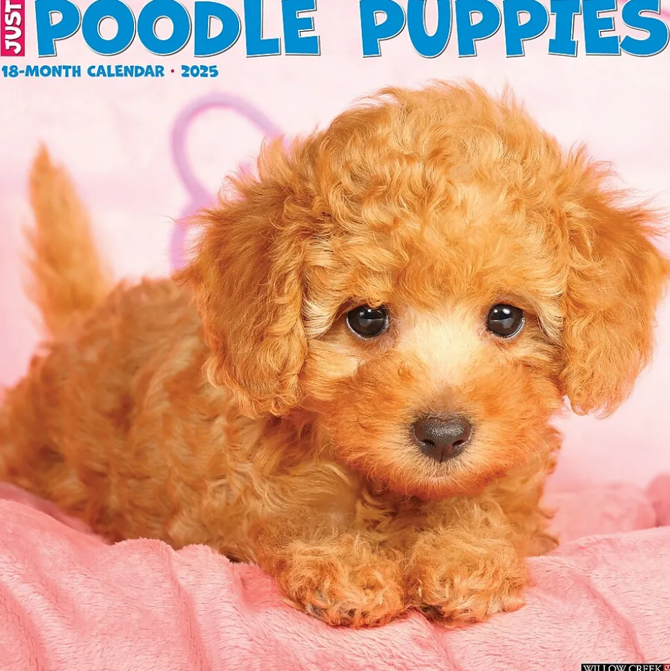 2025 Willow Creek Just Poodle Puppies 12" x 12" Monthly Wall Calendar (44513)