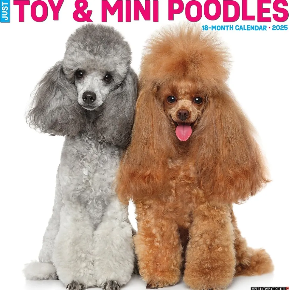 2025 Willow Creek Just Toy and Miniature Poodles 12" x 12" Monthly Wall Calendar (45145)