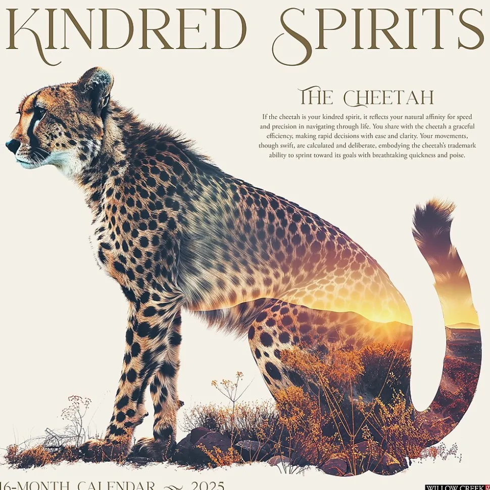 2025 Willow Creek Kindred Spirits 12" x 12" Monthly Wall Calendar (48320)