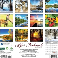 2025 Willow Creek Life in the Northwoods 12" x 12" Monthly Wall Calendar (43714)