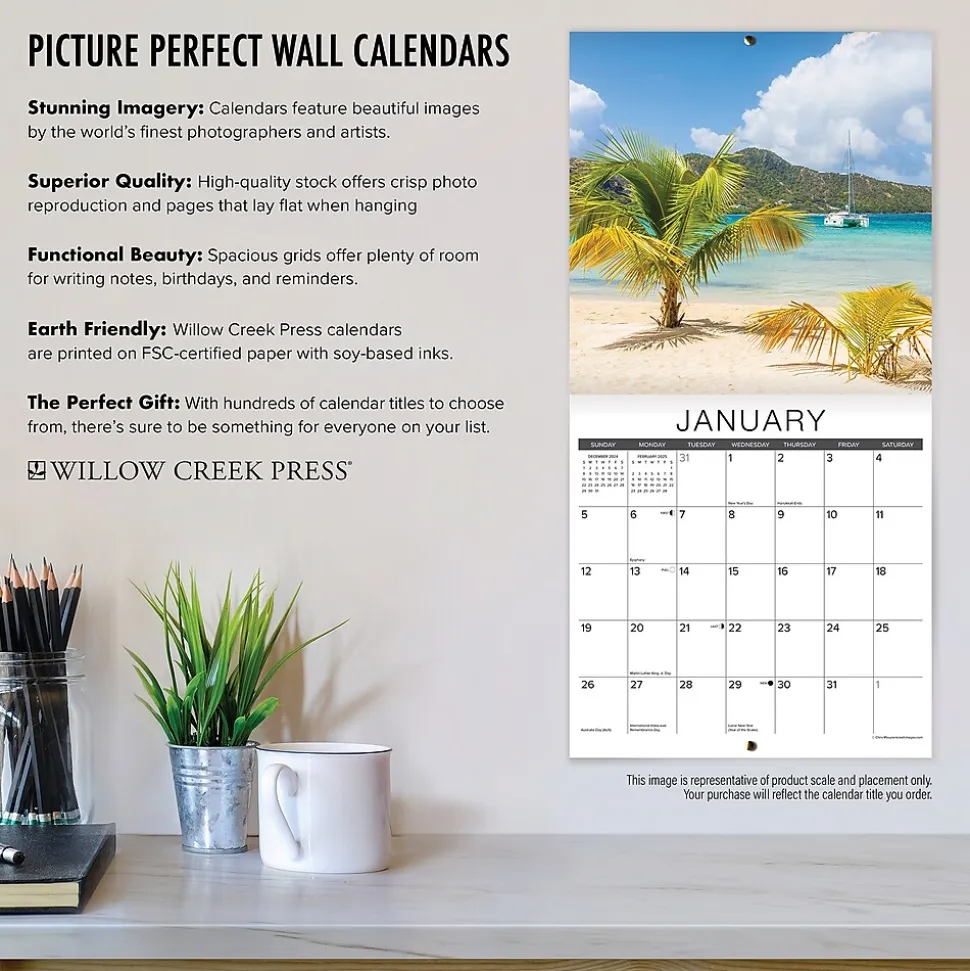 2025 Willow Creek Litterary Kitties 12" x 12" Monthly Wall Calendar (43769)