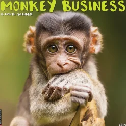 2025 Willow Creek Monkey Business 12" x 12" Monthly Wall Calendar (44001)