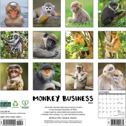 2025 Willow Creek Monkey Business 12" x 12" Monthly Wall Calendar (44001)