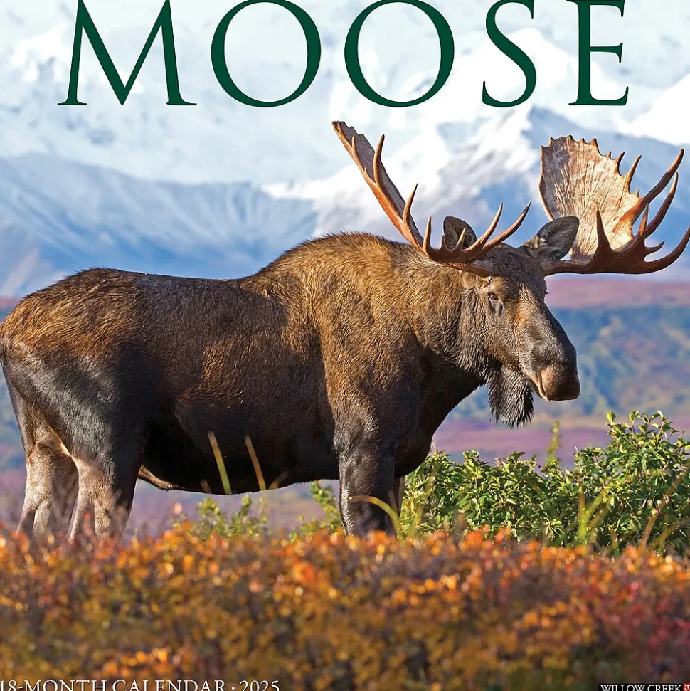 2025 Willow Creek Moose 12" x 12" Monthly Wall Calendar (44032)