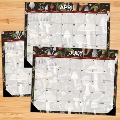 2025 Willow Creek Mushrooms 22" x 17" Monthly Desk or Wall Calendar (47927)