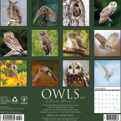 2025 Willow Creek Owls 12" x 12" Monthly Wall Calendar (44315)