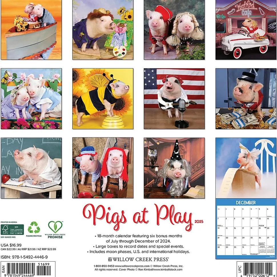 2025 Willow Creek Pigs at Play 12" x 12" Monthly Wall Calendar (44469)