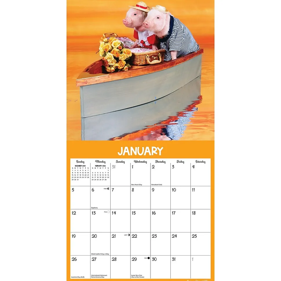 2025 Willow Creek Pigs at Play 12" x 12" Monthly Wall Calendar (44469)