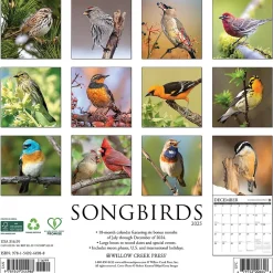 2025 Willow Creek Songbirds 12" x 12" Monthly Wall Calendar (44988)