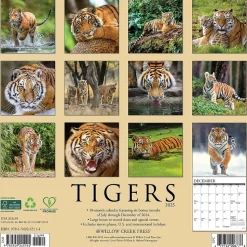2025 Willow Creek Tigers 12" x 12" Yearly Wall Calendar (45114)