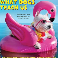 2025 Willow Creek What Dogs Teach Us 12" x 12" Yearly Wall Calendar (45350)