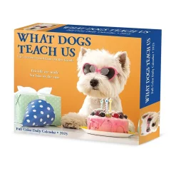 2025 Willow Creek What Dogs Teach Us 6" x 5.5" Day-to-Day Calendar (41116)
