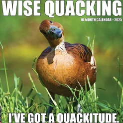 2025 Willow Creek Wise Quacking 12" x 12" Yearly Wall Calendar (46371)