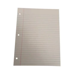 American Paper Wide Ruled Filler Paper, 8.5" x 11", 3-Hole Punched, 500 Sheets/Pack (130P-20)
