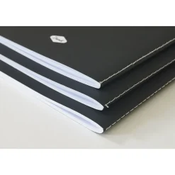 : AMEYA'S REALM SKINNY LAYFLAT NOTEBOOK 3-PACK