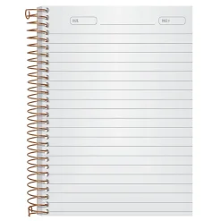 Ampad 1-Subject Professional Notebooks, 5