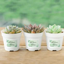 Avery Sure Feed Laser/Inkjet Durable ID Labels, 2