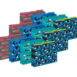 Barker Creek Sea & Sky File Folder, 1/3-Cut Tab, Letter Size, Assorted, 36/Set (4405)