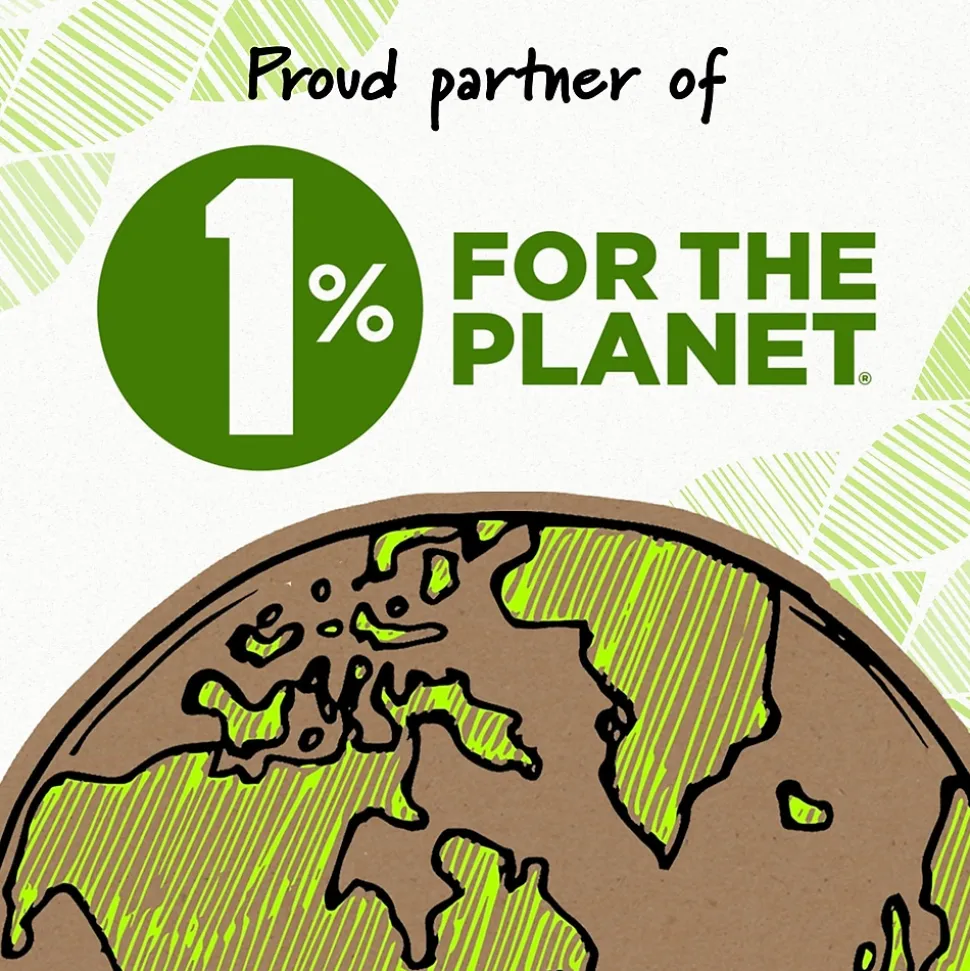 BIC Ecolutions Wite-Out Brand Correction Tape, White, 10/Pack (WOET10-WHI)