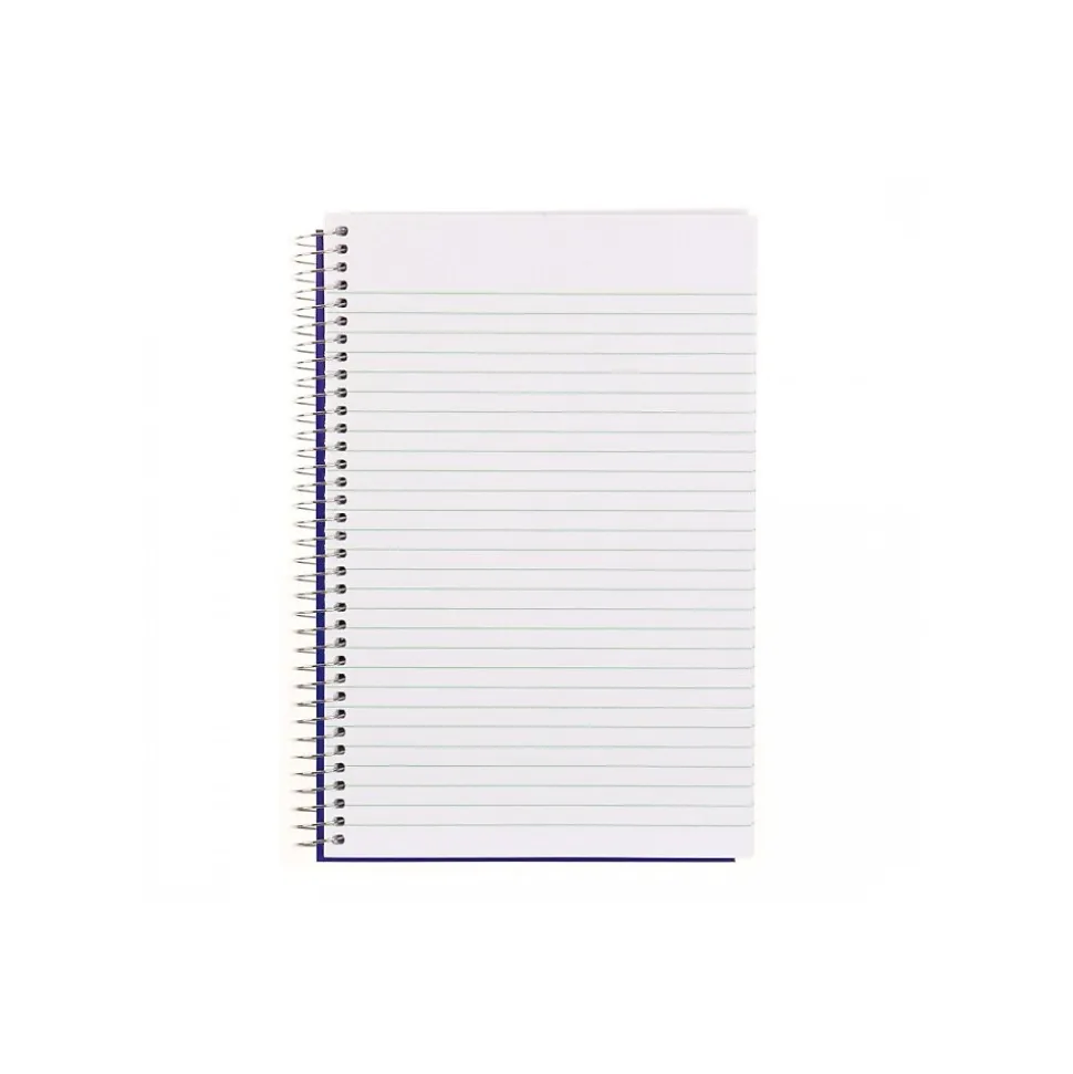 Blueline Notes Steno Pad, 6" x 9", Ruled, Blue, 180 Sheets/Pad (AT35B)