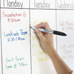 Expo Vis-A-Vis Wet Erase Markers, Fine Point, Black, Dozen (16001)