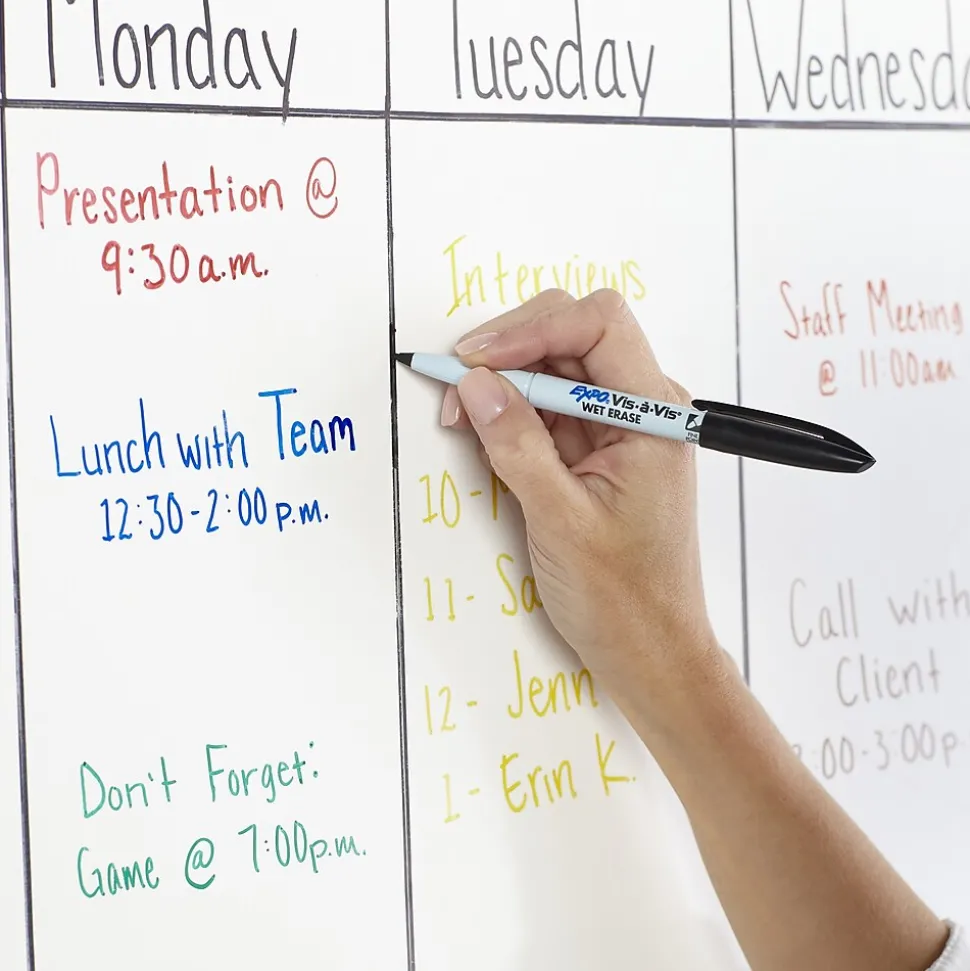 Expo Vis-A-Vis Wet Erase Markers, Fine Point, Black, Dozen (16001)