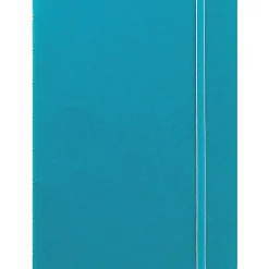 Filofax A5 Classic Bright 4-Subject Professional Notebooks, 5.8