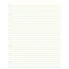 Filofax A5 1-Subject Professional Notebooks, 5.5" x 8.5", College Ruled, 32 Sheets, White (B152008U)