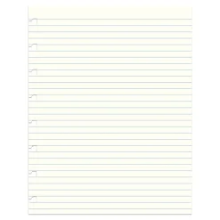Filofax A5 1-Subject Professional Notebooks, 5.5" x 8.5", College Ruled, 32 Sheets, White (B152008U)