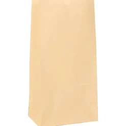 JAM Paper Kraft Lunch Bags, Small, 4.25" x 8" x 2.25", Ivory Kraft, Bulk 500 Bags/Box (690KRIVB)