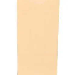 JAM Paper Kraft Lunch Bags, Small, 4.25" x 8" x 2.25", Ivory Kraft, Bulk 500 Bags/Box (690KRIVB)