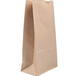 JAM Paper Kraft Lunch Bags, Medium, 9.75" x 5" x 3", Brown Kraft Recycled, 25/Pack (691KRBR)