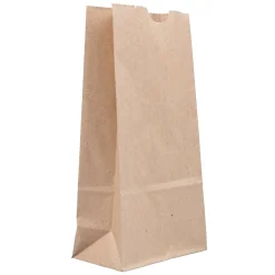 JAM Paper Kraft Lunch Bags, 8" x 4.25" x 2.25", Brown, 500/Pack (690KRBRB)