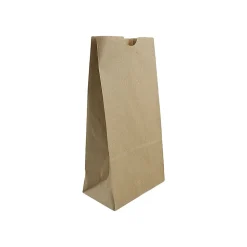 JAM Paper Kraft Lunch Bags, 8" x 4.25" x 2.25", Brown, 500/Pack (690KRBRB)