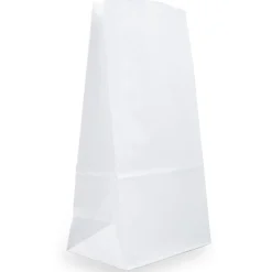 JAM Paper Kraft Lunch Bags, Large, 6" x 11" x 3.5", White, Bulk 500 Bags/Box (692KRWHB)