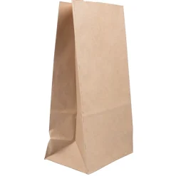 JAM Paper Kraft Lunch Bag, Large, 6" x11" x 3.5", Brown, 500/Pack (692KRBRB)