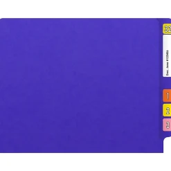 Medical Arts Press Heavy Duty End Tab File Folder, Straight-Cut, Letter Size, Purple, 40/Box (S-09461-PUR)