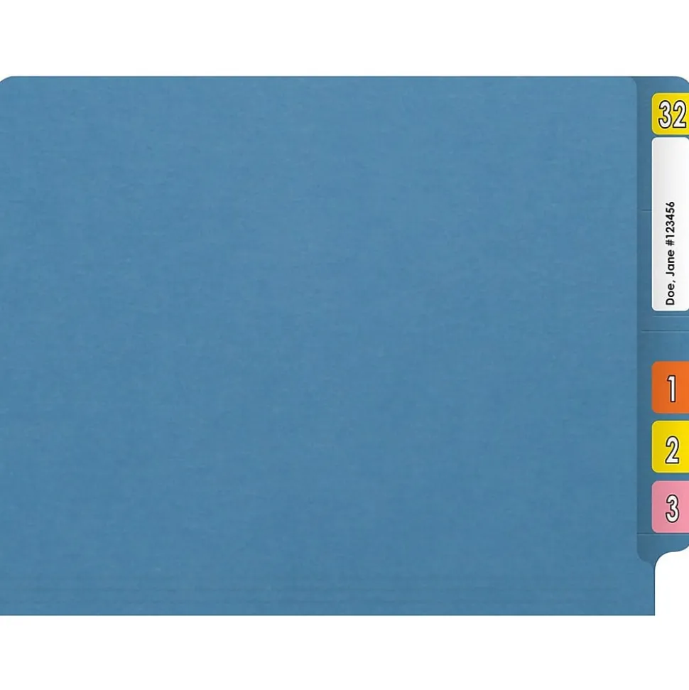 Medical Arts Press Reinforced End Tab File Folder, Straight Cut, Letter-Size, Blue, 250/Carton (S-01602-BLU-B)