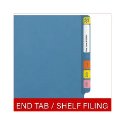 Medical Arts Press Reinforced End Tab File Folder, Straight Cut, Letter-Size, Blue, 250/Carton (S-01602-BLU-B)