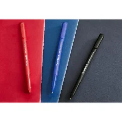 Paper Mate Write Bros. Ballpoint Pen, Bold Point, Blue Ink, Dozen (2124513)