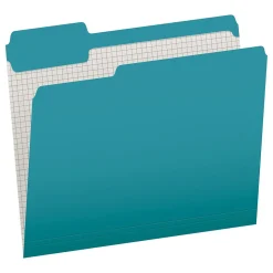 Pendaflex Heavy Duty File Folder, 1/3-Cut Tab, Letter Size, 100/Box (1006995)