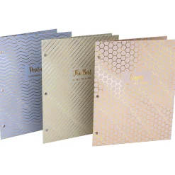 Pukka Pad Haze 3-Hole Punched 2-Pocket Cardstock Portfolio Folders, Assorted Colors, 6/Pack (9980(AST)-HZE)