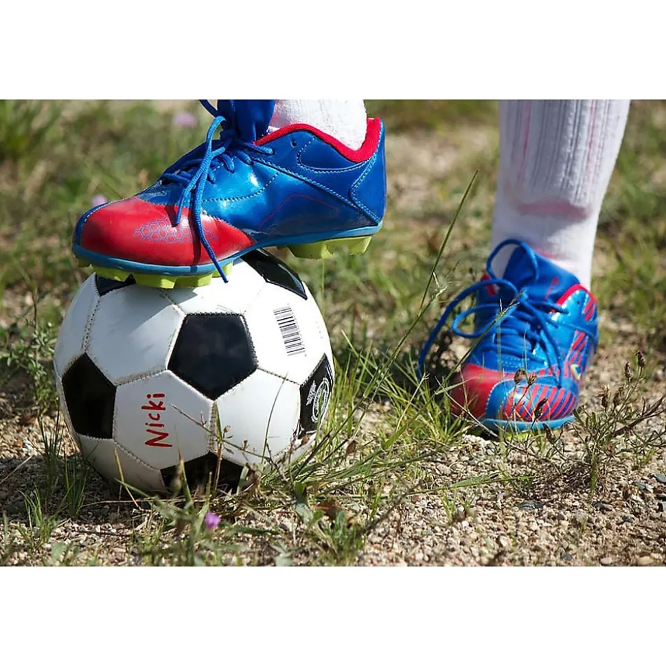 Sharpie eXtreme Permanent Markers, Fine Tip, Black, 4/Pack (1927436)