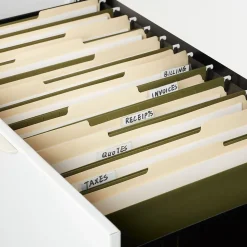 Staples Heavy Duty Box Bottom Hanging File Folder, 2