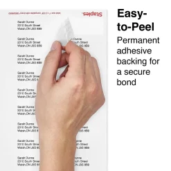 Staples Laser/Inkjet Address Labels, 1