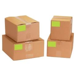 Tape Logic 3" x 9" Rectangle Inventory Label, Fluorescent Green, 250/Roll